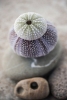 Beach Treasures No. 7 Variante 1