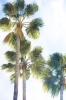 Summer Feel No. 2 Variante 1