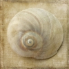Grunge Shells No. 6 Variante 1