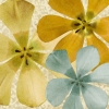 Like Springtime No. 2 Variante 1