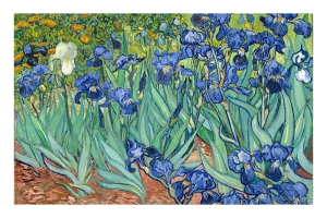 Vincent van Gogh - Irises