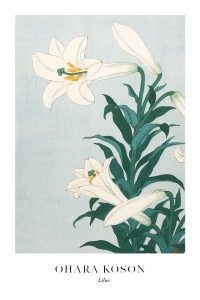 Ohara Koson - Lilies
