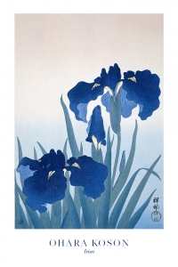 Ohara Koson - Irises