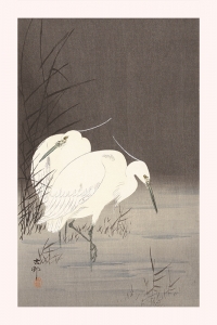 Ohara Koson - Two Egrets in the Reeds
