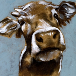 Cow Portrait No. 4