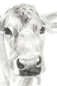 Watercolour Cow