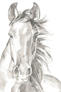 Watercolour Horse