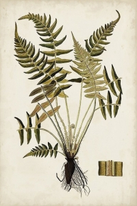 Botanical Samples No. 3