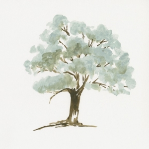 Mint-Coloured Tree