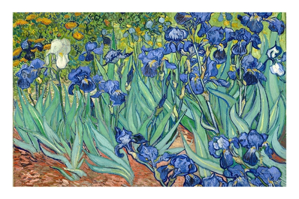 Vincent van Gogh - Irises Variante 3 | 13x18 cm | Premium-Papier