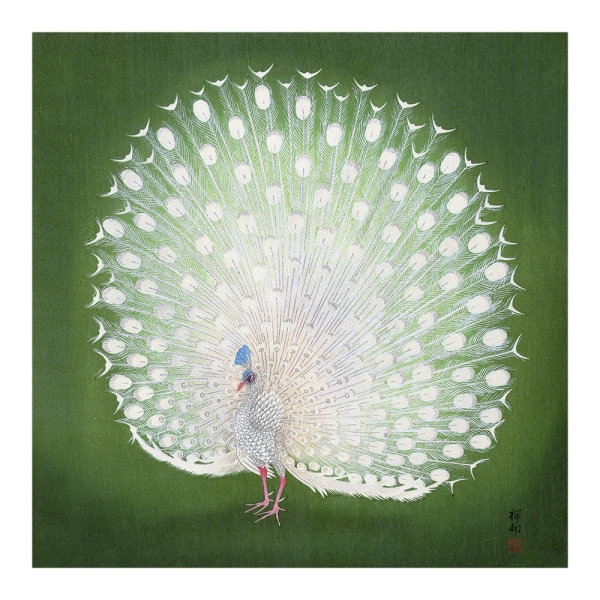 Ohara Koson - Peacock Variante 1 | 40x40 cm | Premium-Papier