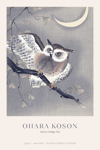 Ohara Koson - Owl in Ginkgo Tree Variante 1 | 30x45 cm | Premium-Papier