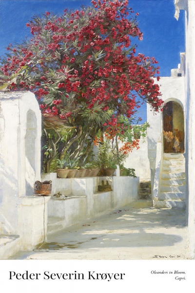 Peder Severin Krøyer - Oleanders in bloom. Capri. 