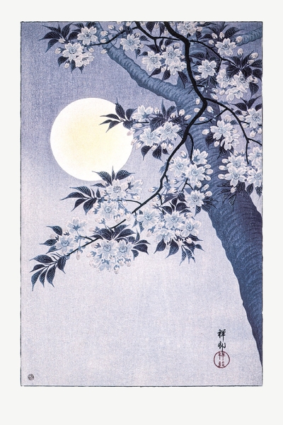 Ohara Koson - Blossoming Cherry on a Moonlit Night Variante 1 | 40x60 cm | Premium-Papier