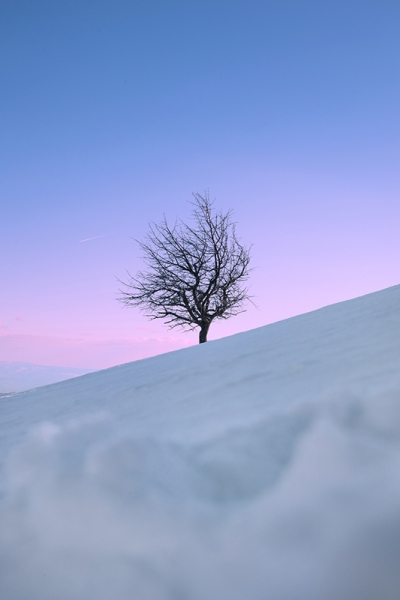Winter Sky Variante 1 | 40x60 cm | Premium-Papier