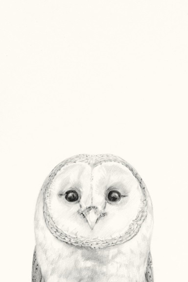 Animal Heads No. 3 - Barn Owl 