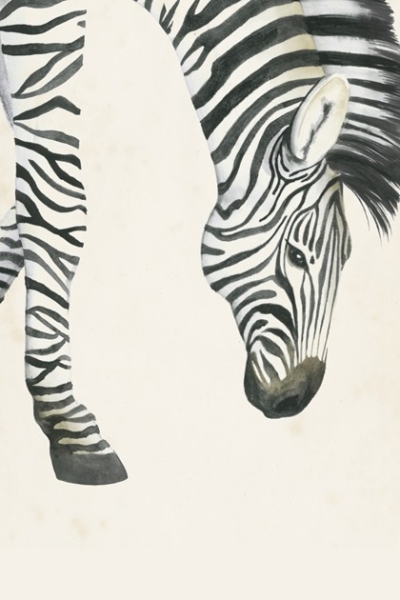 Head & Feet No. 3 - Zebra Variante 1 | 40x60 cm | Premium-Papier