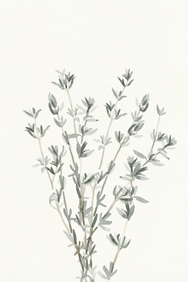 Delicate Herbs No. 2 Variante 1 | 40x60 cm | Premium-Papier