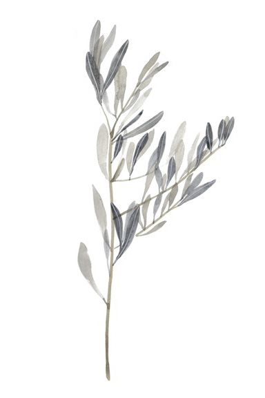 Gentle Bough No. 2 Variante 1 | 40x60 cm | Premium-Papier