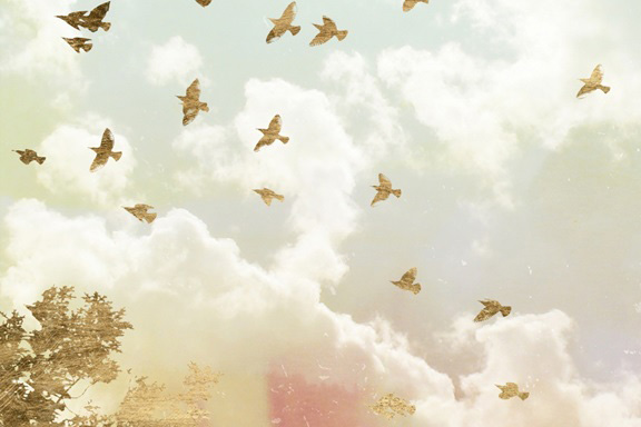 Taking Flight No. 1 Variante 1 | 40x60 cm | Premium-Papier
