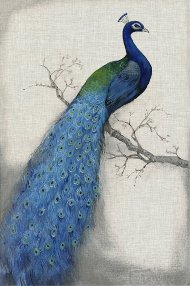 Peacock No. 1 Variante 1 | 40x60 cm | Premium-Papier