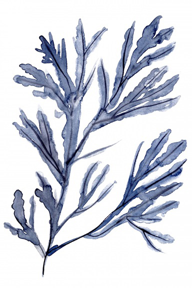 Underwater Flora No. 1 Variante 1 | 30x45 cm | Premium-Papier