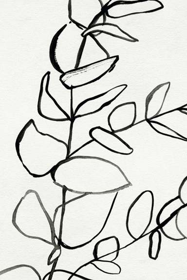 Sprig Sketch Variante 1 | 30x45 cm | Premium-Papier