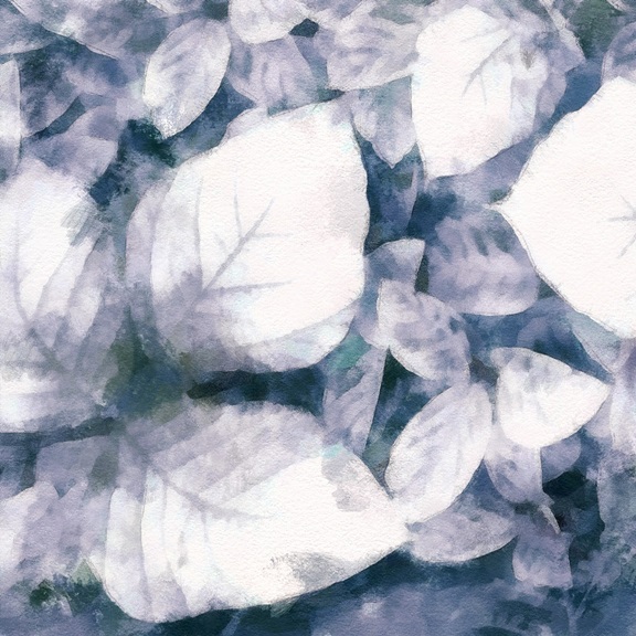 Blue Shadow Variante 1 | 60x60 cm | Premium-Papier
