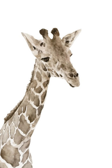 Little zoo Giraffe Variante 1 | 30x45 cm | Premium-Papier