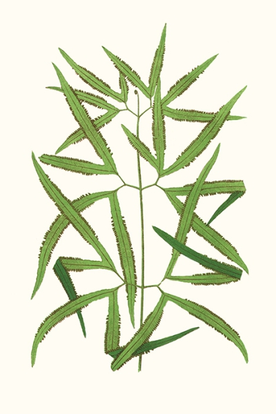 Leaf Collection No. 3 Variante 1 | 30x45 cm | Premium-Papier