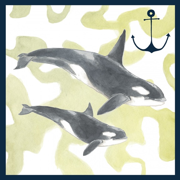 Whales in Watercolour No. 4 Variante 1 | 60x60 cm | Premium-Papier