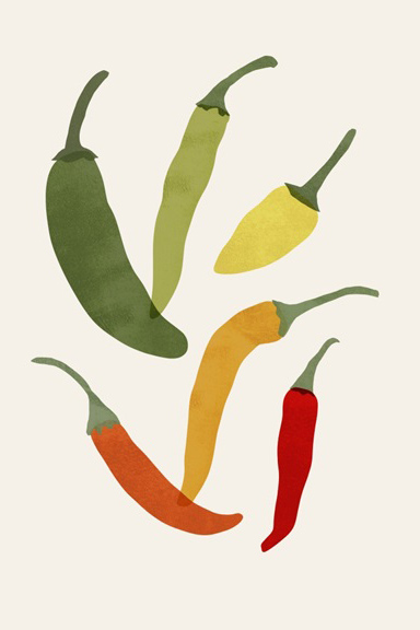 Bright Chili Variante 1 | 30x45 cm | Premium-Papier