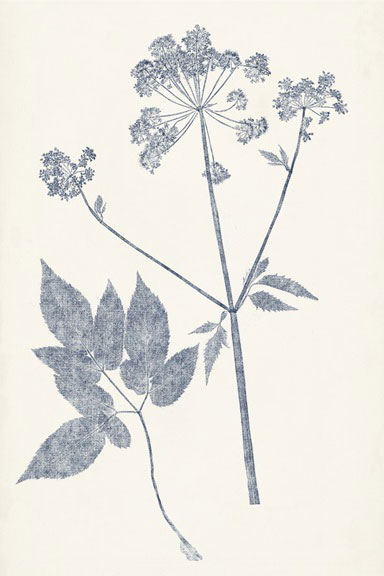 Leaf Imprints No. 4 Variante 1 | 30x45 cm | Premium-Papier