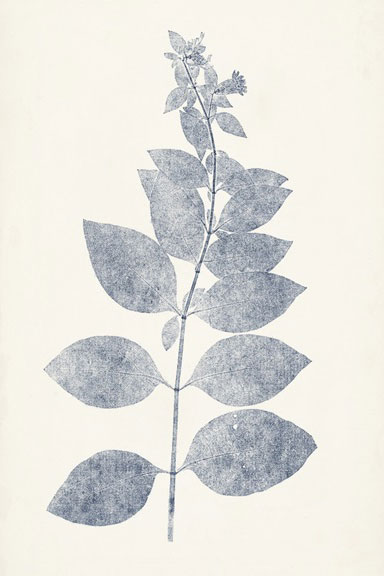 Leaf Imprints No. 5 