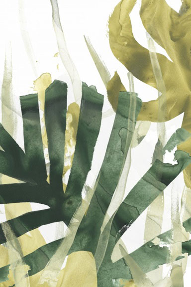 Olivine Variante 1 | 30x45 cm | Premium-Papier