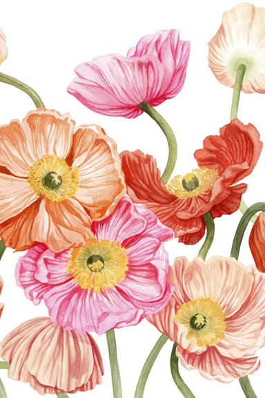 Nothing but Poppies Variante 1 | 13x18 cm | Premium-Papier