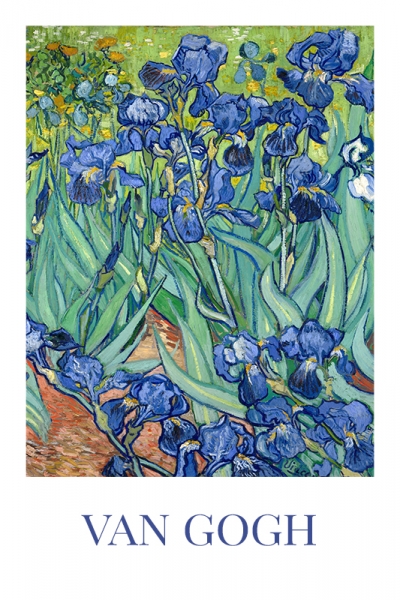 Vincent van Gogh - Irises Variante 1 | 13x18 cm | Premium-Papier wasserfest