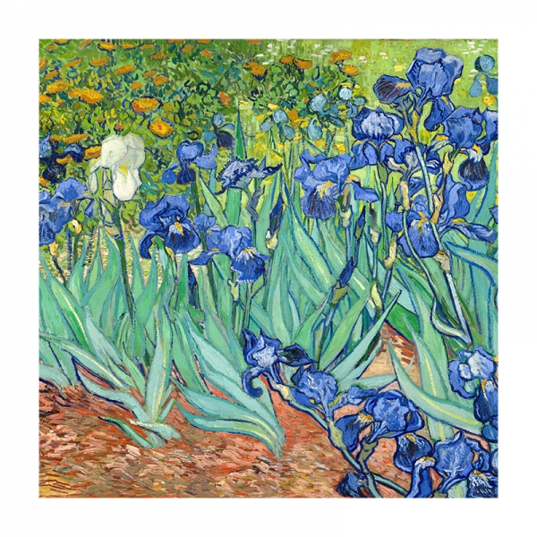 Vincent van Gogh - Irises Variante 1 | 60x60 cm | Premium-Papier wasserfest