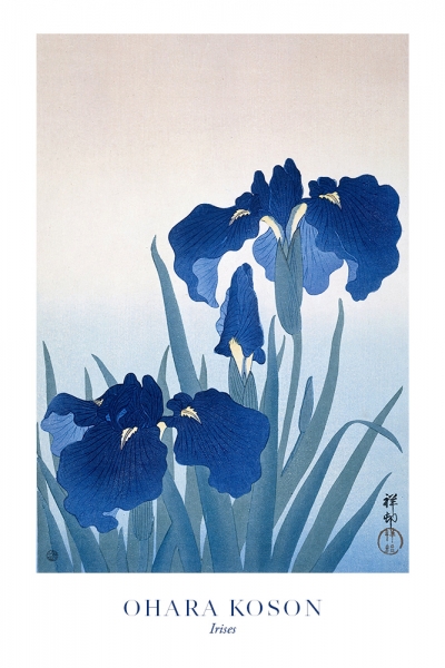 Ohara Koson - Irises Variante 1 | 60x90 cm | Premium-Papier wasserfest