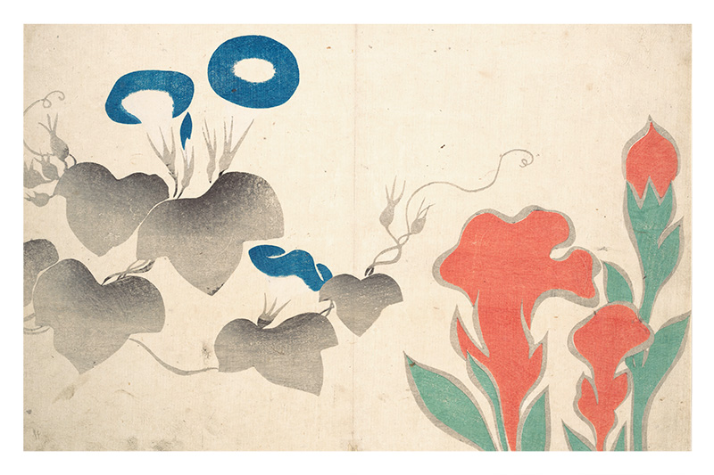 Ogata Korin - Design of Morning-Glory and Other Flowers 