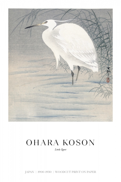 Ohara Koson - Little Egret Variante 1 | 60x90 cm | Premium-Papier