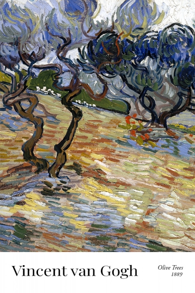 Vincent van Gogh - Olive Trees: Bright blue sky Variante 1 | 60x90 cm | Premium-Papier