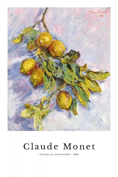 Claude Monet - Citrons sur une branche Variante 1 | 20x30 cm | Premium-Papier