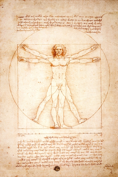 Leonardo da Vinci - The Vitruvian Man Variante 1 | 60x90 cm | Premium-Papier