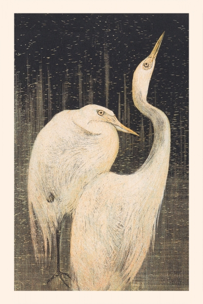 Theo van Hoytema - Two Egrets Variante 1 | 60x90 cm | Premium-Papier wasserfest