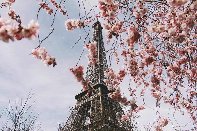 Paris in Spring 
