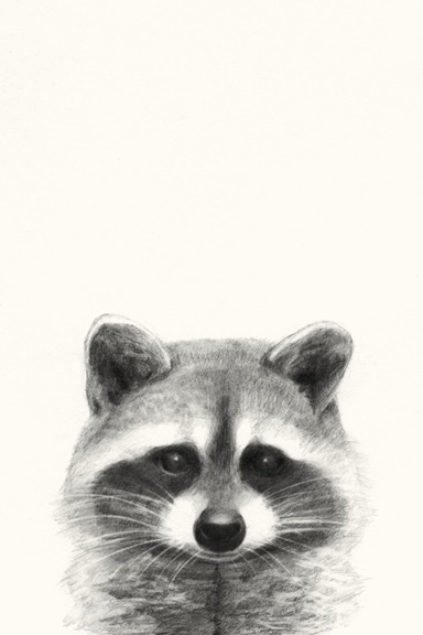 Animal Heads No. 2 - Raccoon Variante 1 | 13x18 cm | Premium-Papier