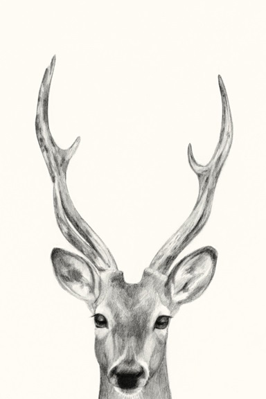 Animal Heads No. 4 - Roe Buck Variante 1 | 13x18 cm | Premium-Papier