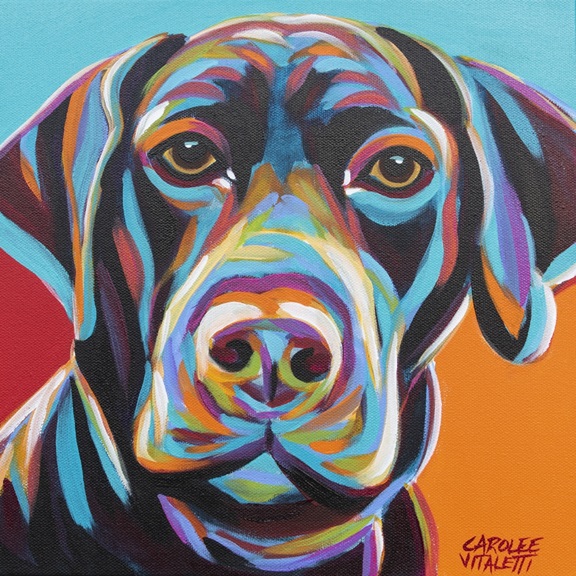 Colourful Dog Portrait No. 2 Variante 1 | 40x40 cm | Premium-Papier