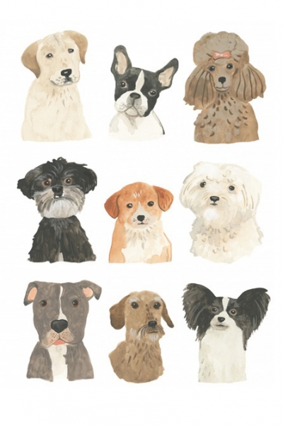 Puppy Portraits Variante 1 | 13x18 cm | Premium-Papier